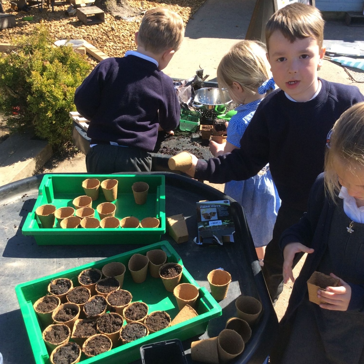 Barnby & North Cove Primary School - Acorn Class - Learning About Plants